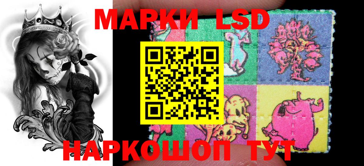 купить наркоту  Марки NBOMe 1,5мг  Вход с VPN  Зеленокумск 