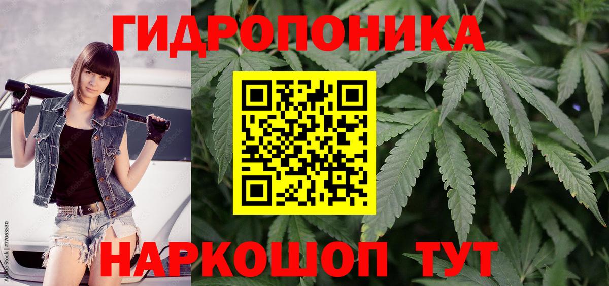 Шишки марихуана гибрид Зеленокумск